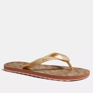 Coach Zack Flip Flop